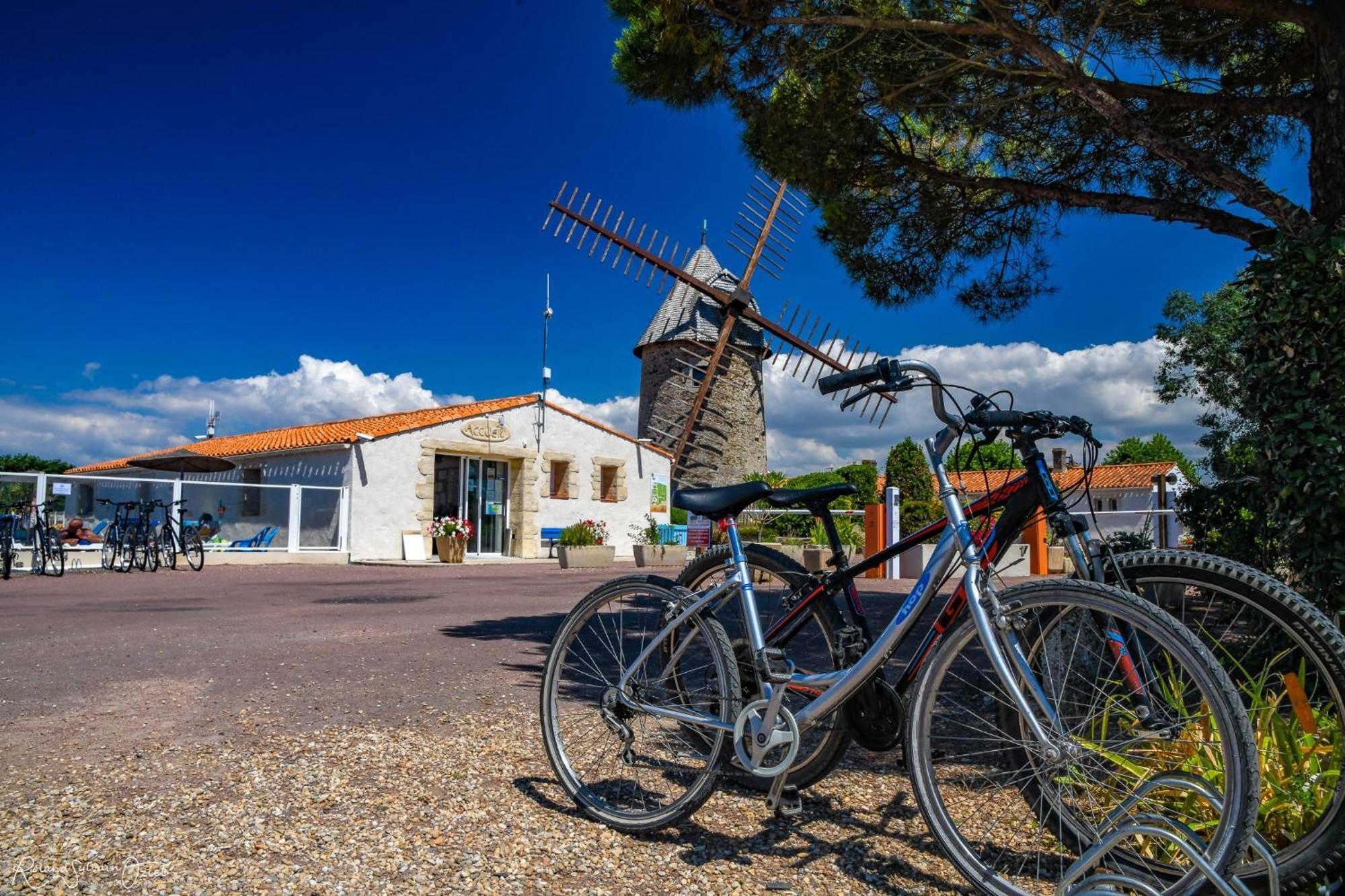 Camping Le Moulin De La Salle Les Sables-dʼOlonne Buitenkant foto